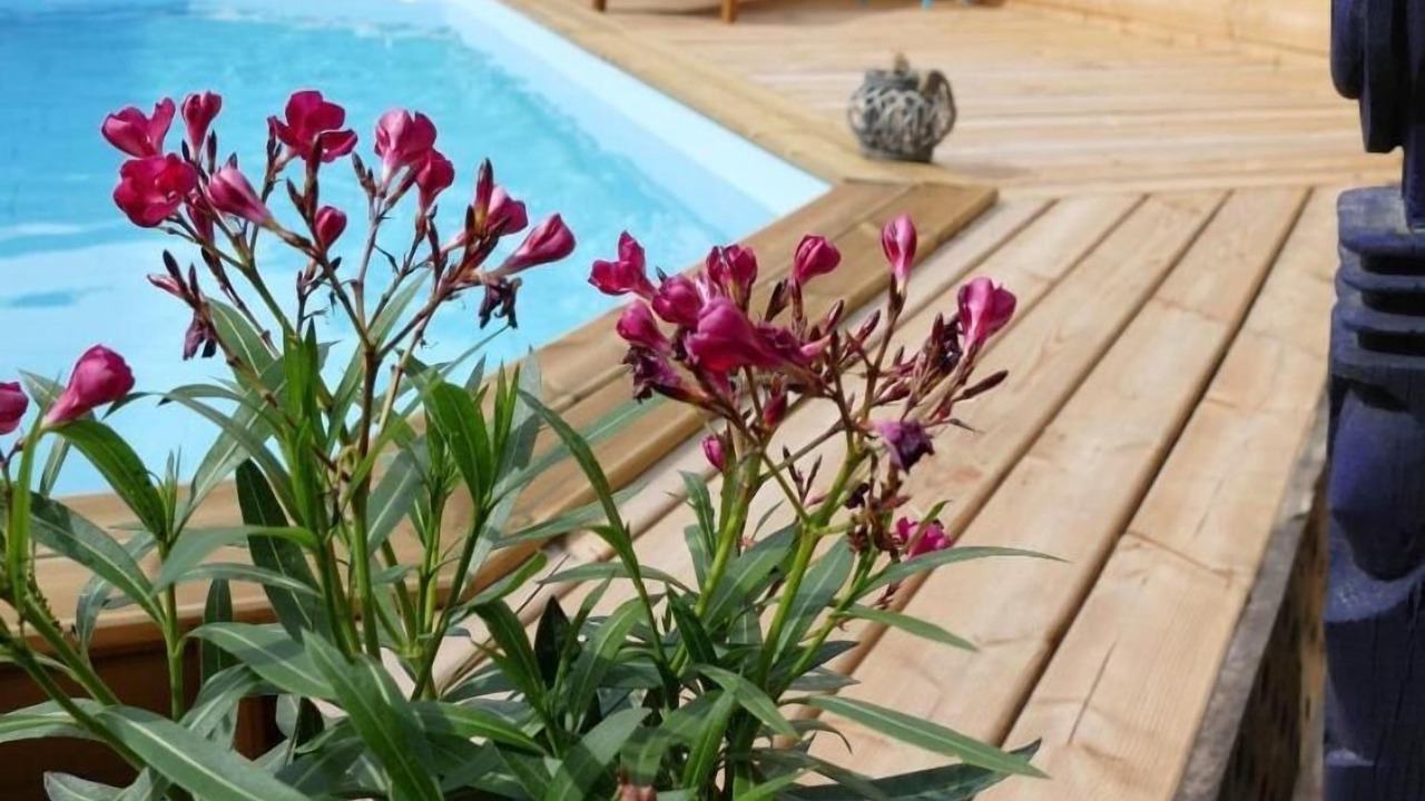 Photo of Outdoor in Lancie