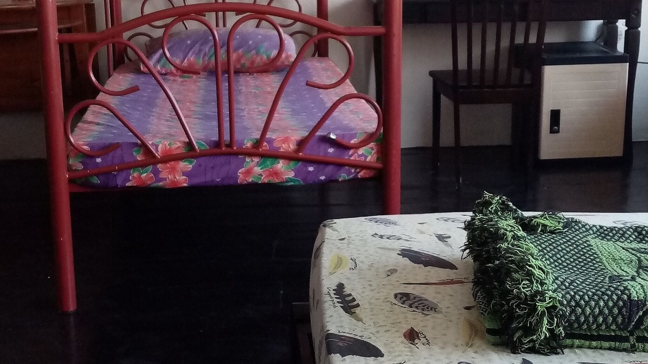 Photo of Others in Downtown George Town