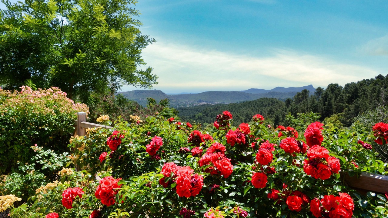 Photo of Outdoor in Chambonas