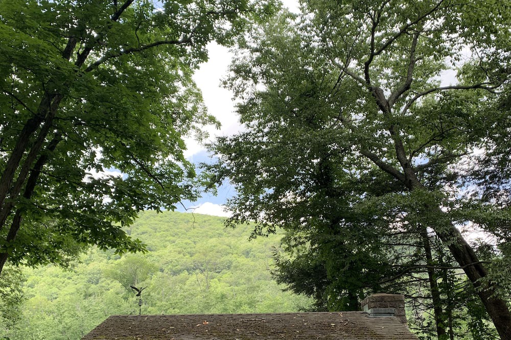 Photo of Outdoor in Kent