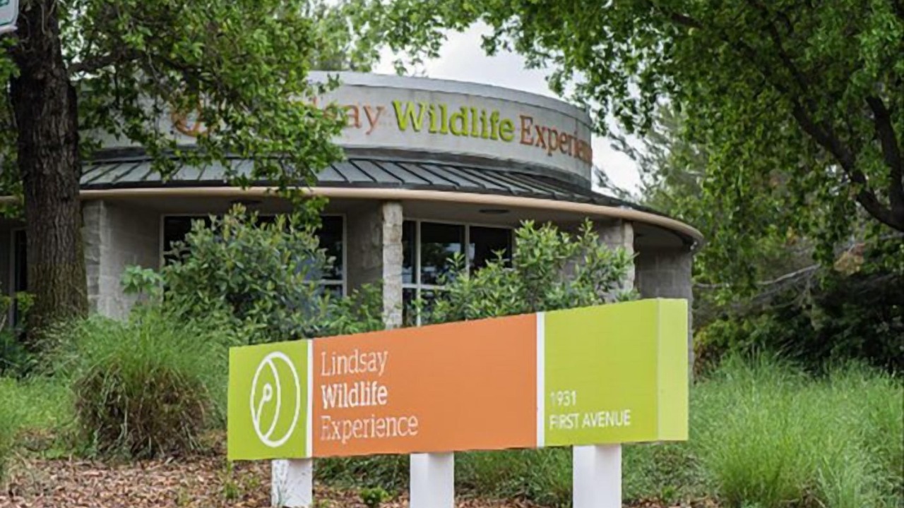 Photo of Others in Walnut Creek