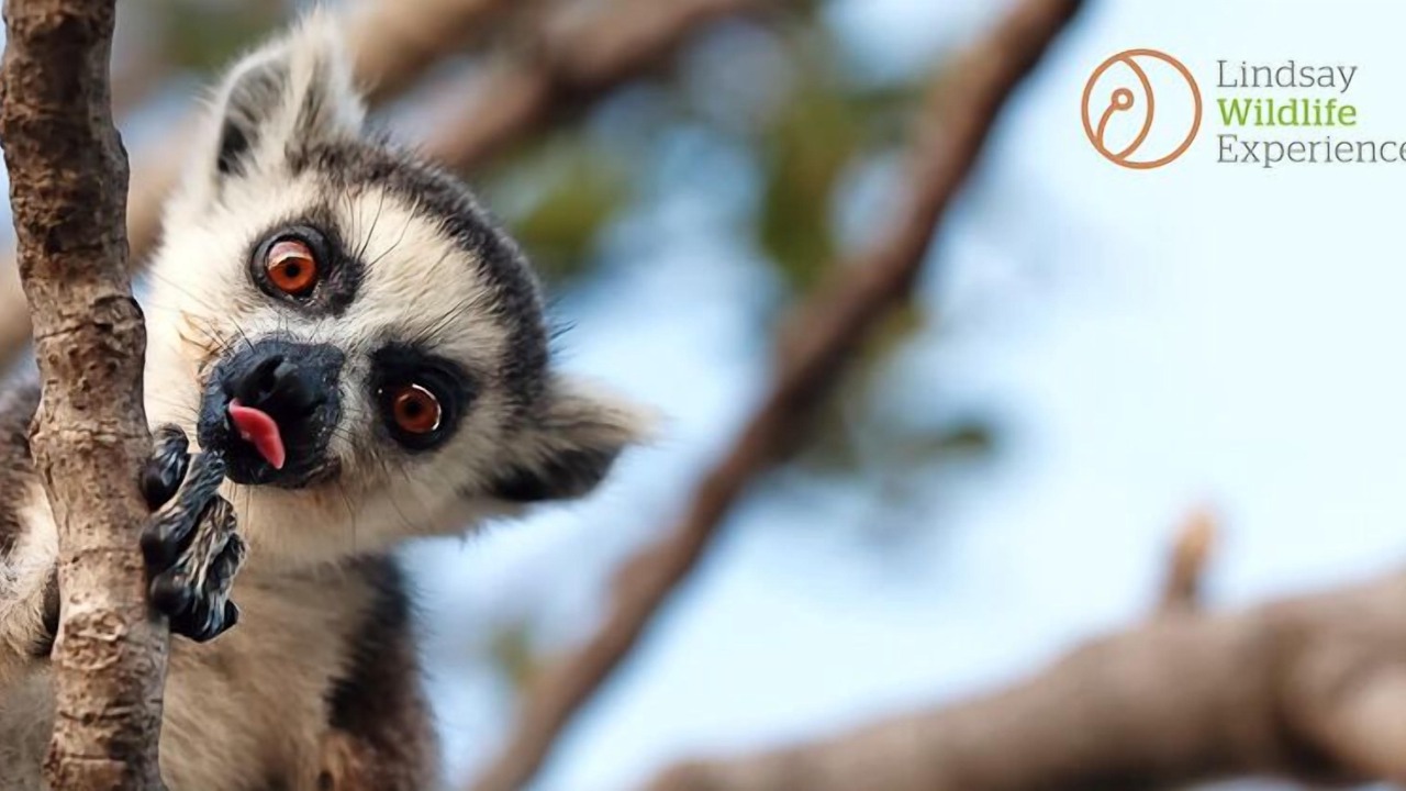 Photo of Others in Walnut Creek