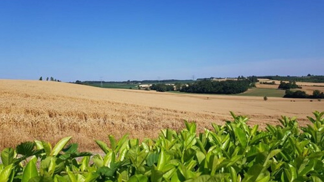 Photo of Outdoor in Cambes