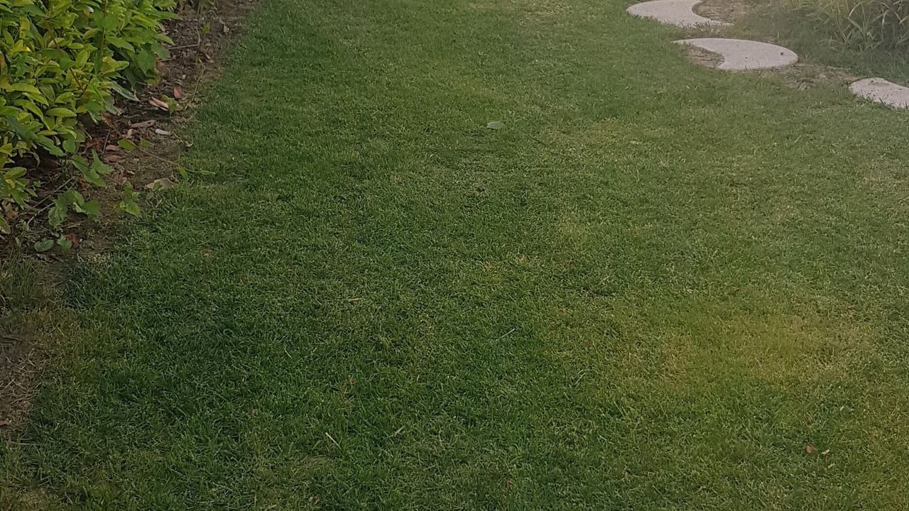 Photo of Outdoor in Cambes