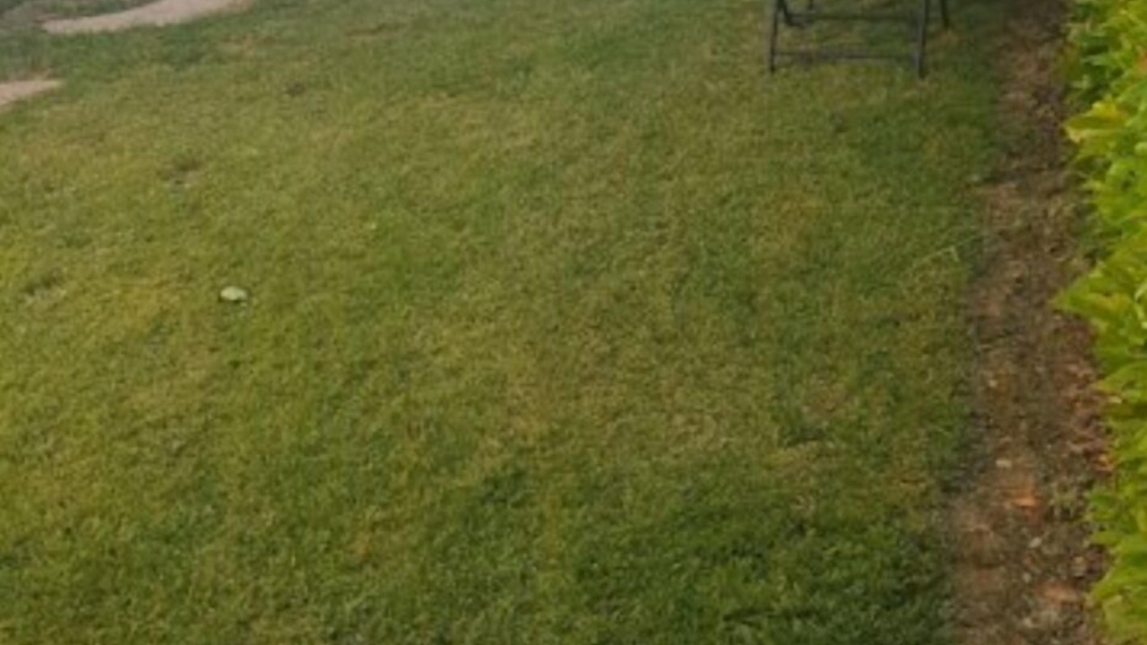 Photo of Outdoor in Cambes