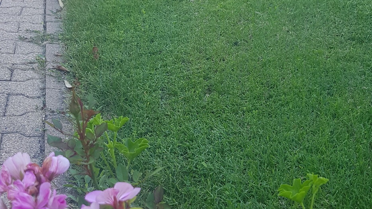 Photo of Outdoor in Cambes