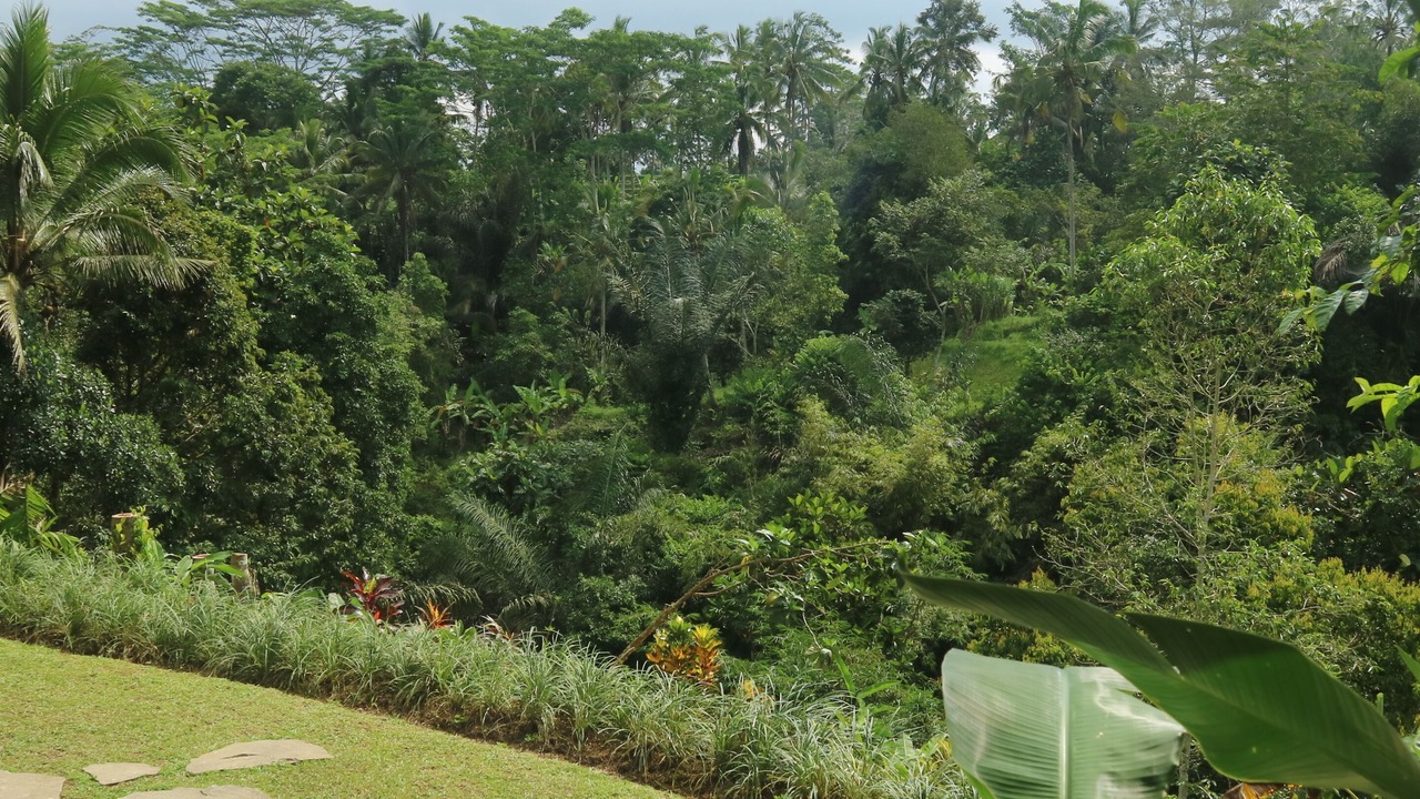 Photo of Outdoor in Keliki