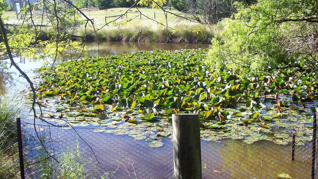 Photo of Outdoor in Allans Flat