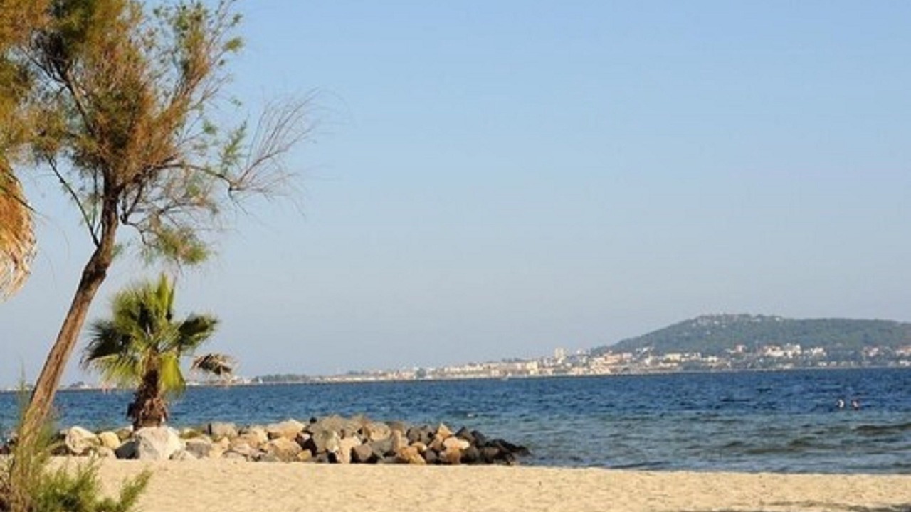 Photo of Others in Meze