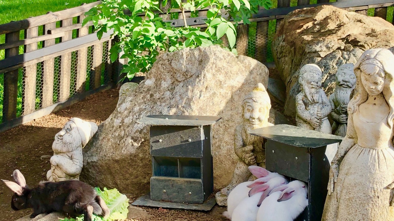 Photo of Outdoor in Gessa