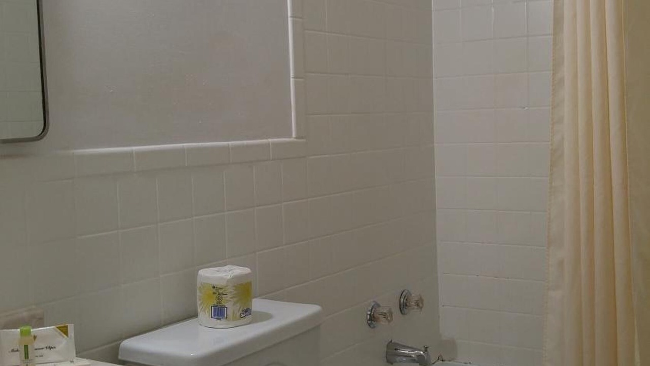 Photo of Others in Corner Brook