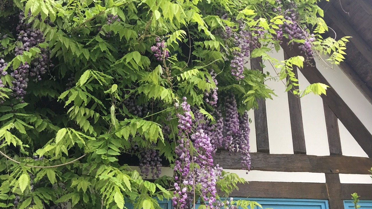 Photo of Outdoor in Fatouville-Grestain