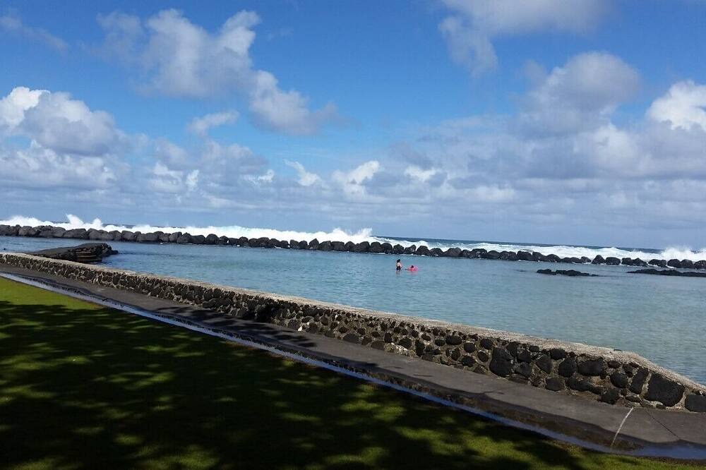 Photo of Others in Fern Acres