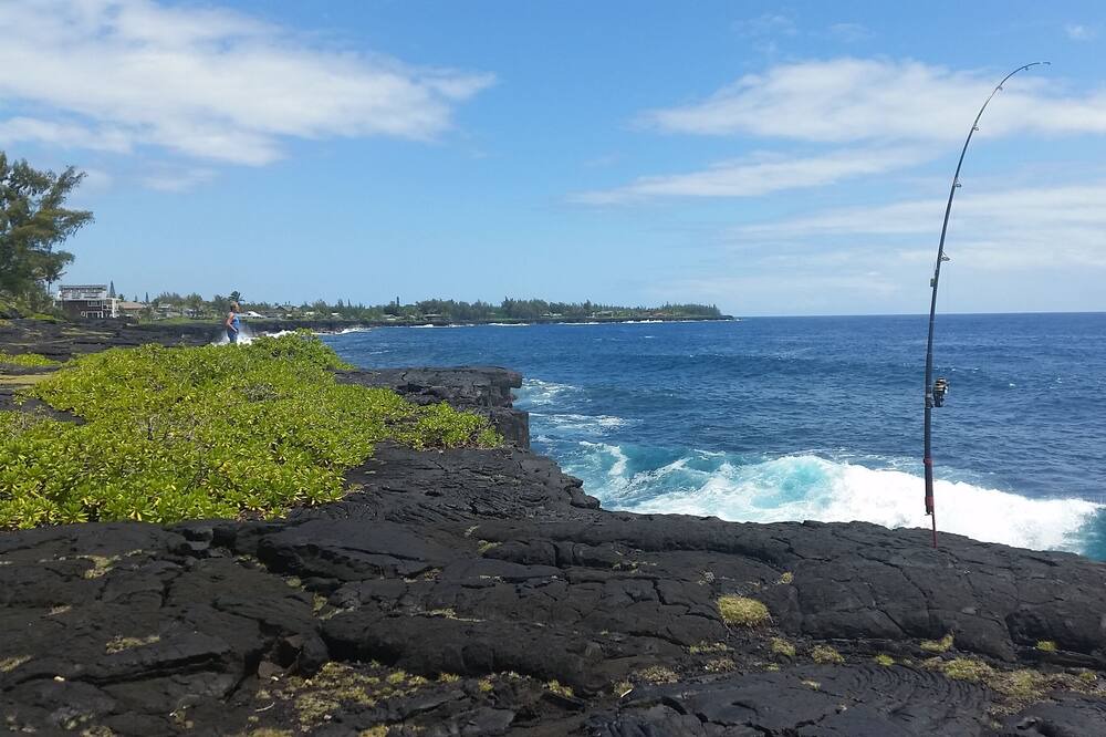 Photo of Others in Fern Acres