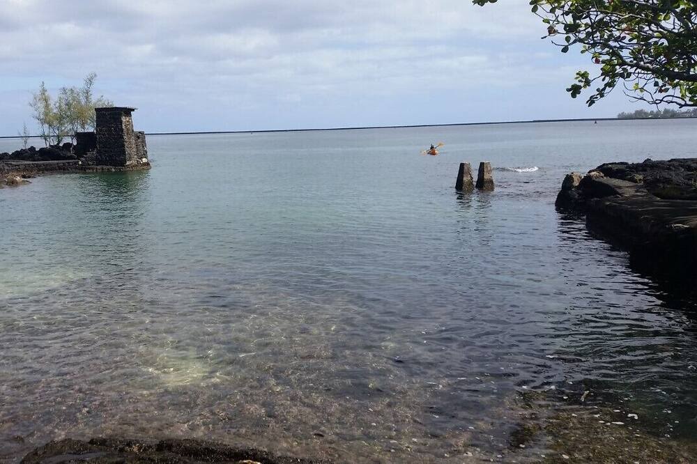 Photo of Others in Fern Acres