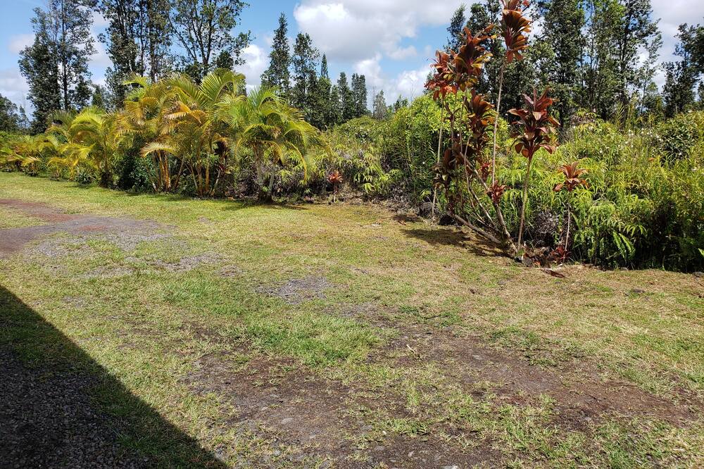 Photo of Others in Fern Acres