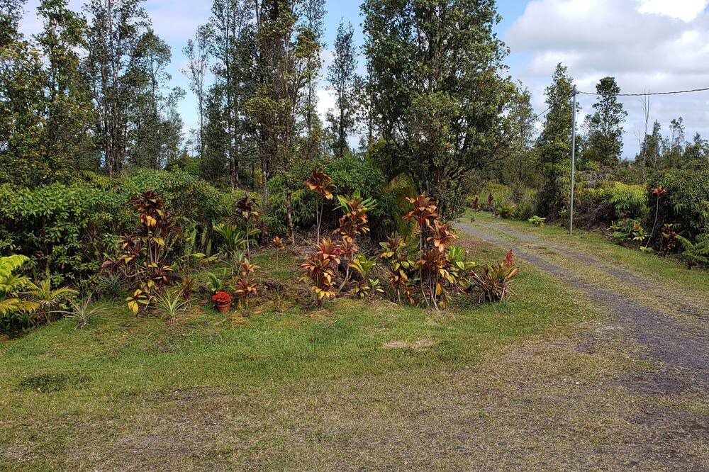 Photo of Others in Fern Acres