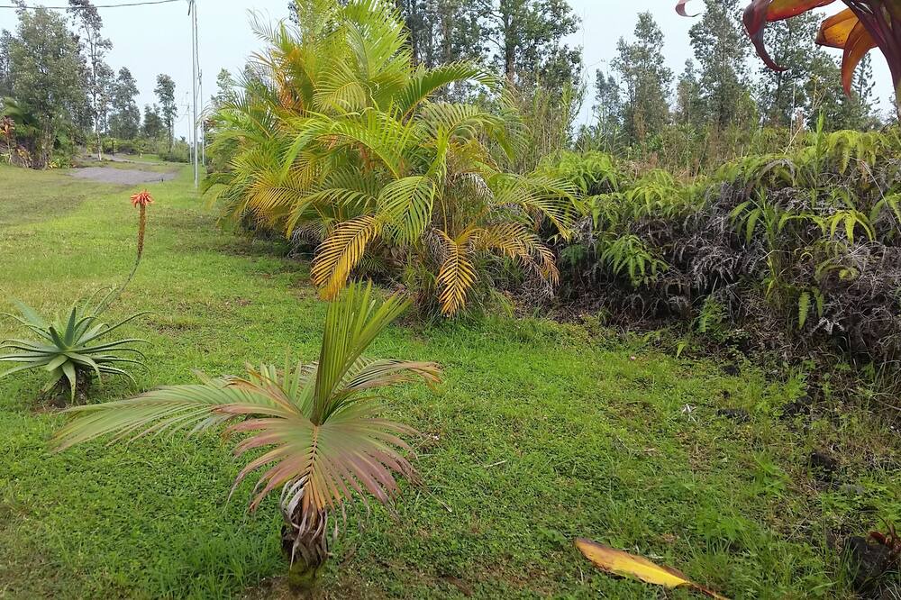 Photo of Others in Fern Acres