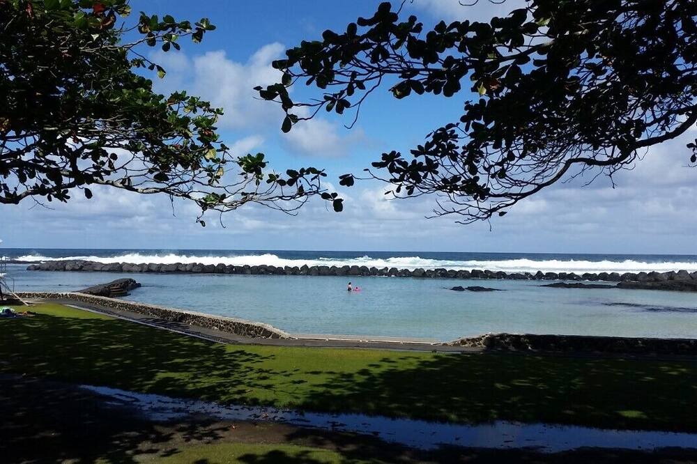 Photo of Others in Fern Acres