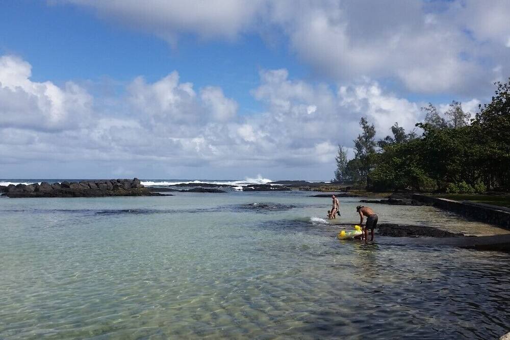 Photo of Others in Fern Acres