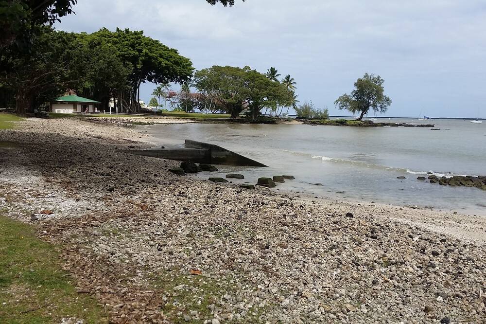 Photo of Others in Fern Acres