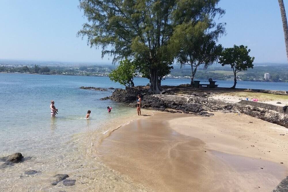 Photo of Others in Fern Acres