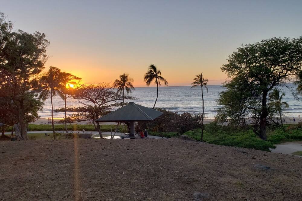 Photo of Others in Fern Acres