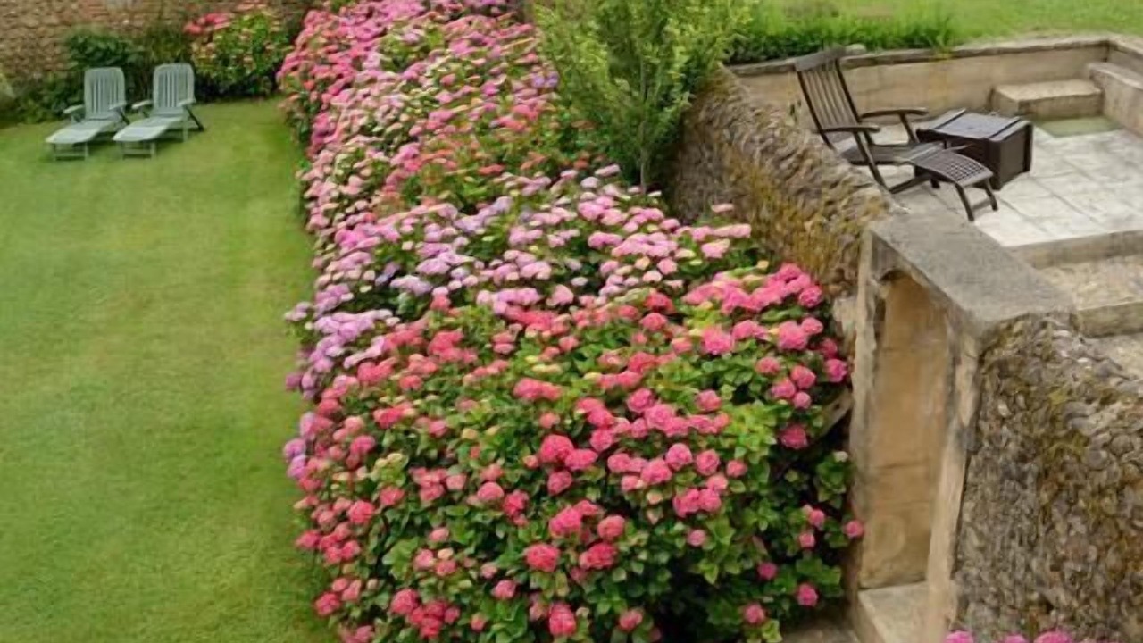 Photo of Outdoor in Vidouze