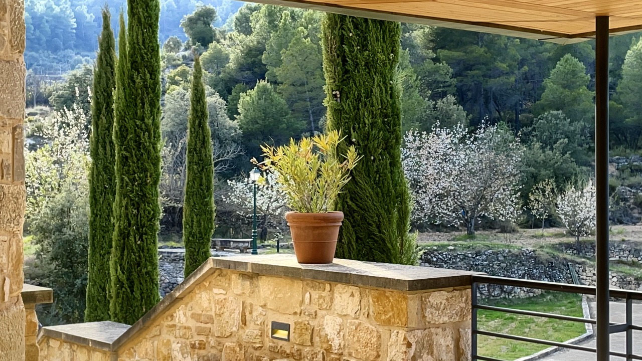 Photo of Bedroom in Monroyo