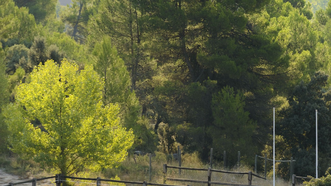Photo of Outdoor in Monroyo