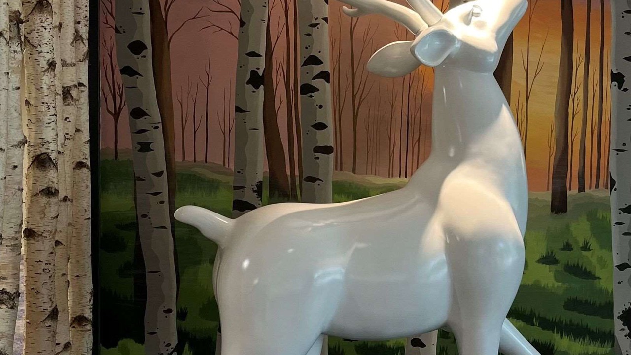 Photo of Others in Muides-sur-Loire