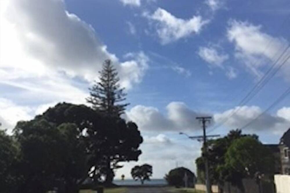 Photo of Others in Arkles Bay