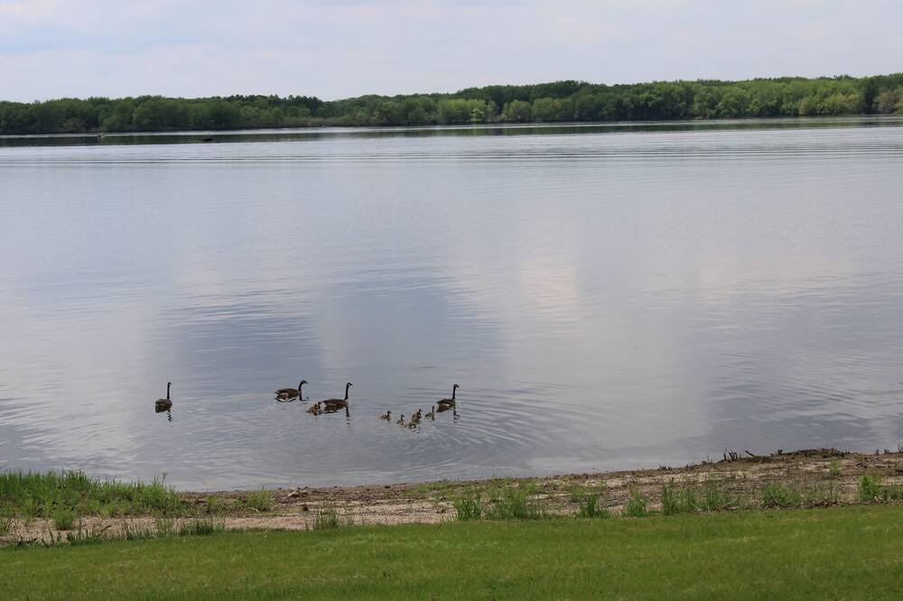 Photo of Others in Clear Lake
