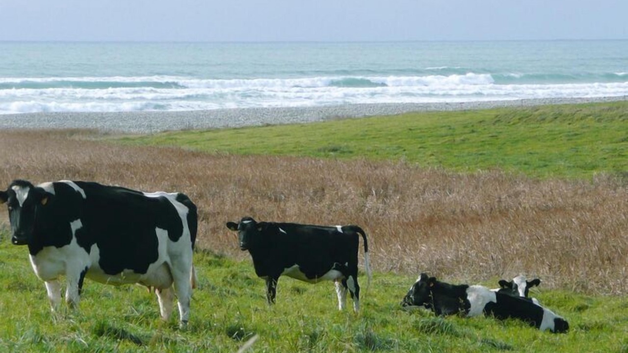 Photo of Outdoor in Plovan