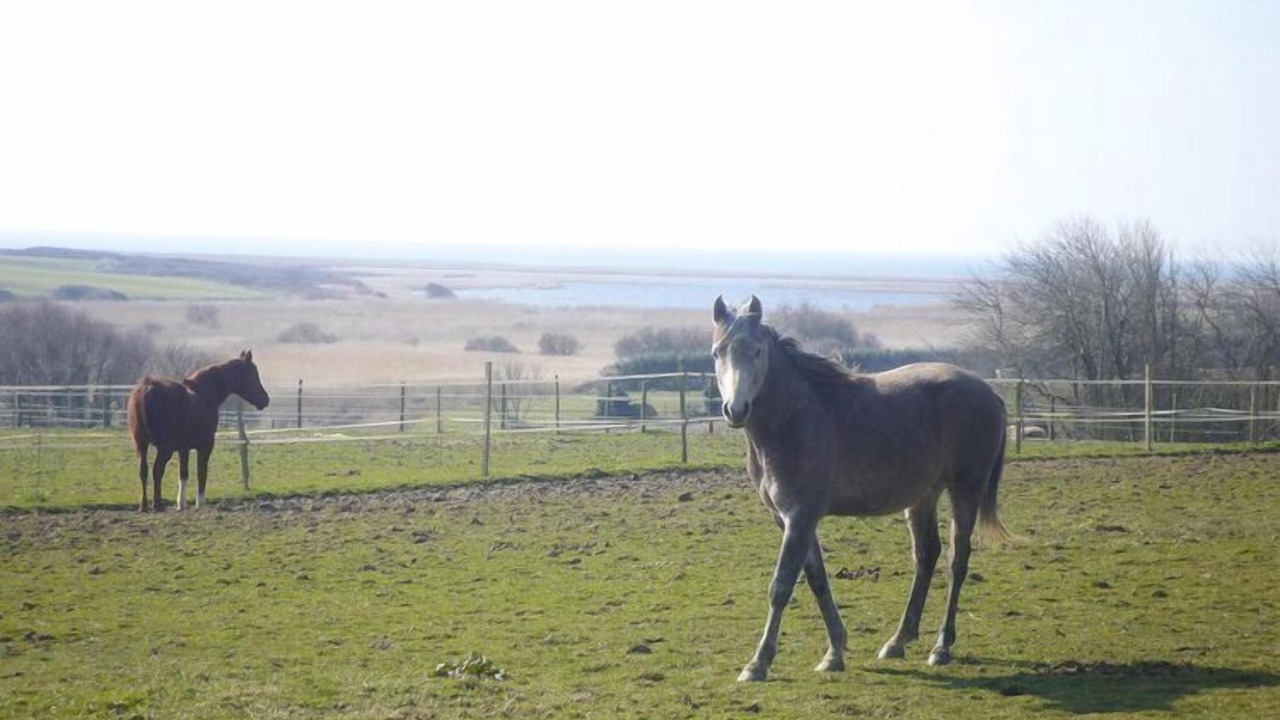 Photo of Outdoor in Plovan