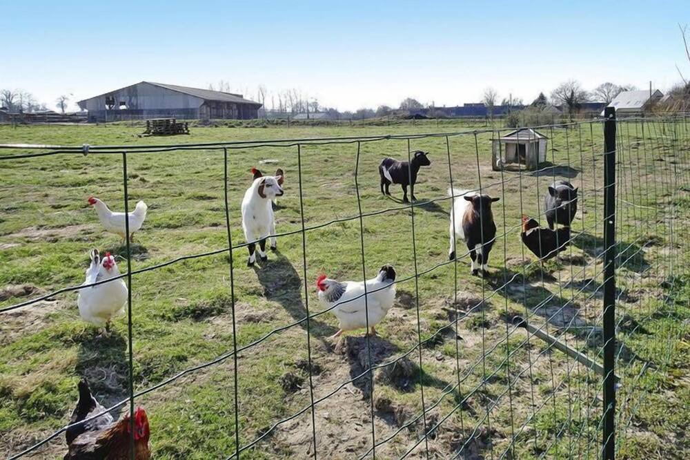 Photo of Outdoor in Bacilly