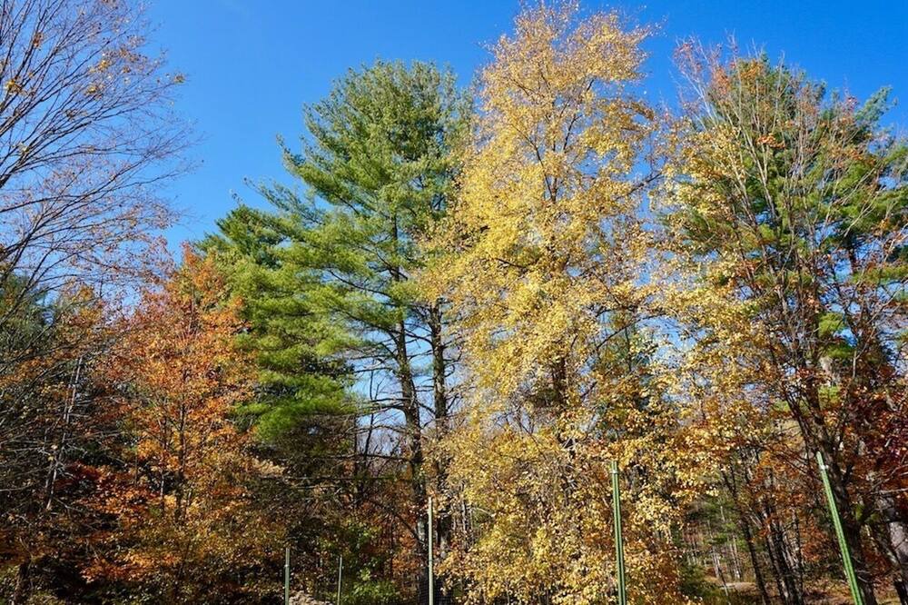 Photo of Others in Samsonville