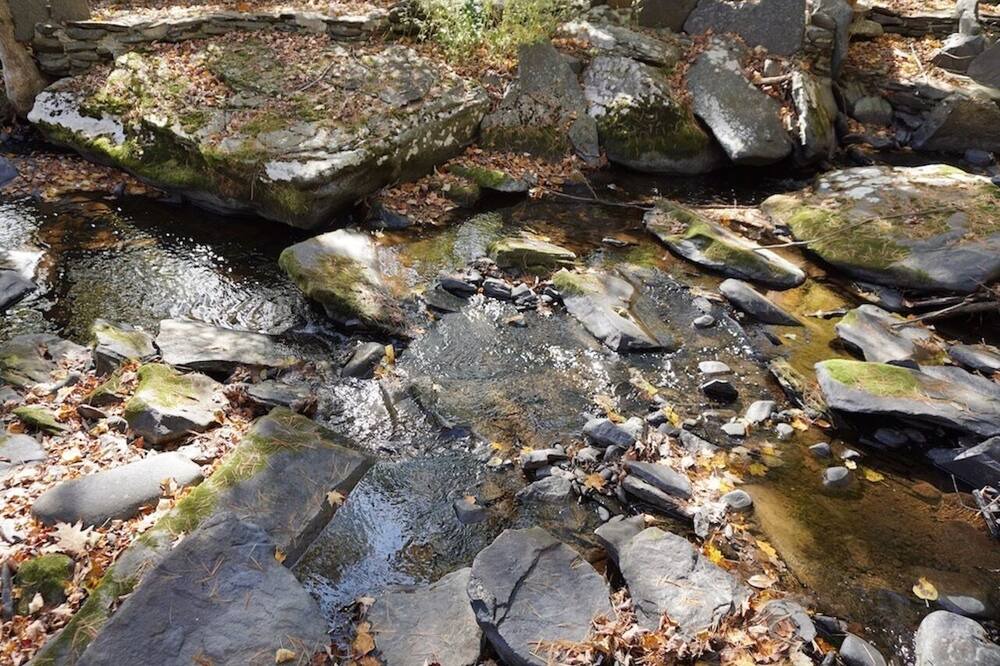 Photo of Others in Samsonville