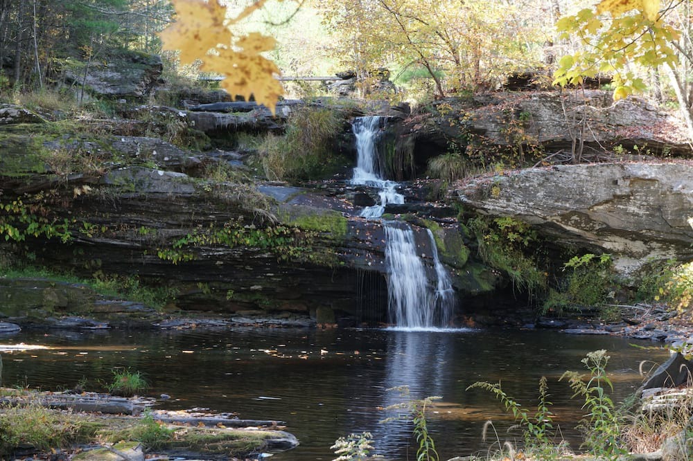 Photo of Others in Samsonville