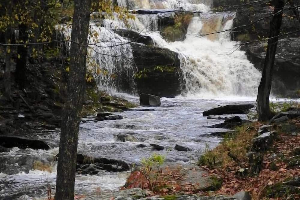 Photo of Others in Samsonville