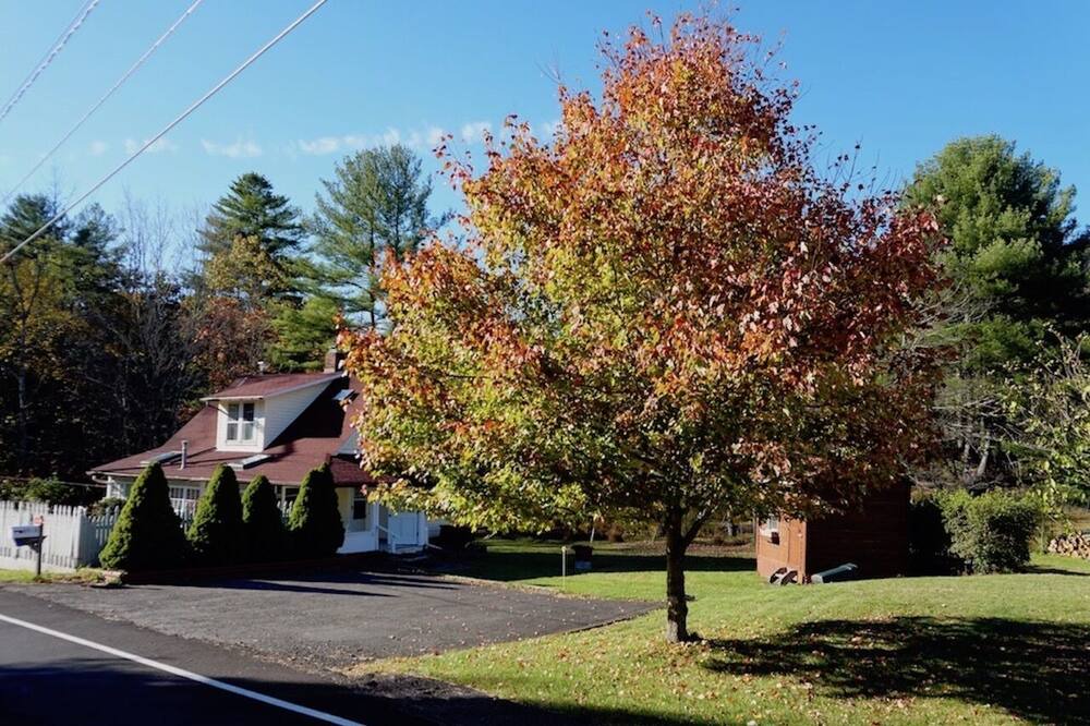 Photo of Others in Samsonville