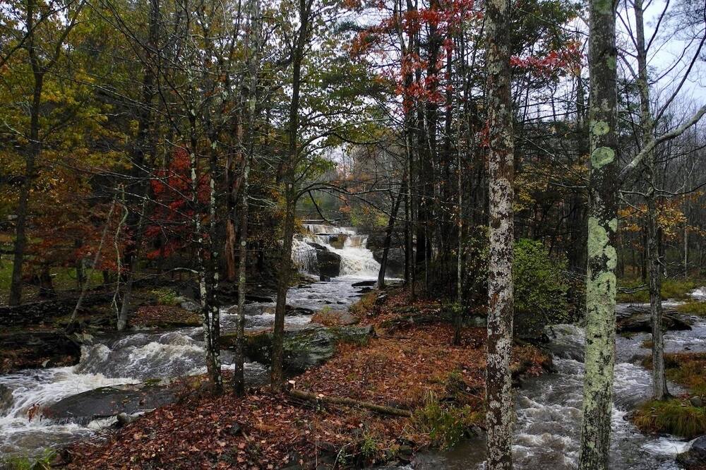 Photo of Others in Samsonville