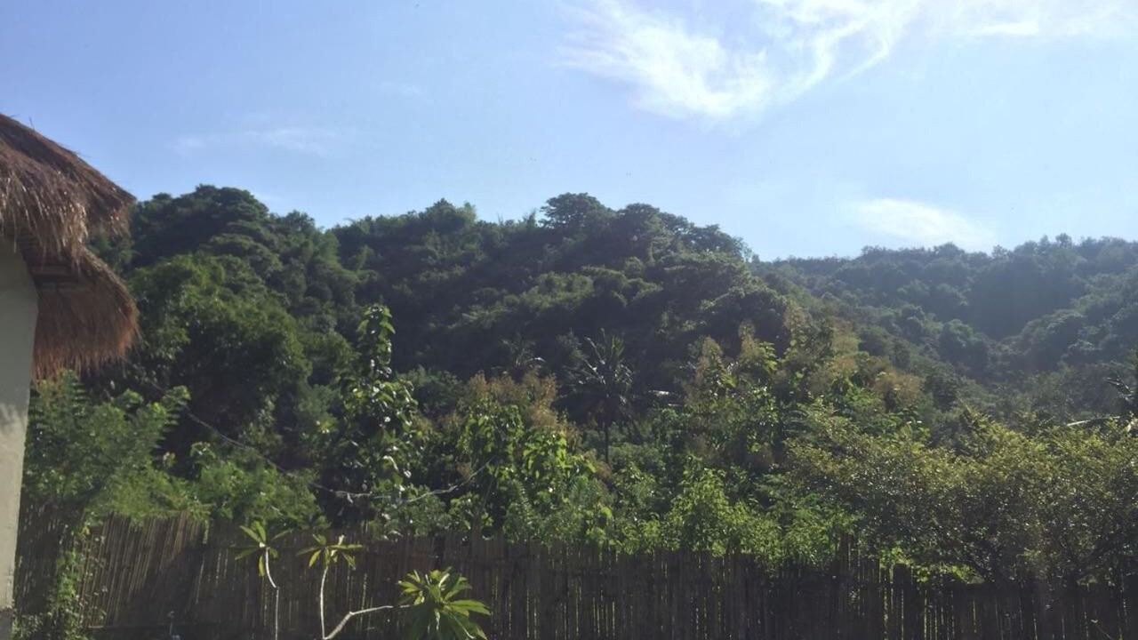 Photo of Outdoor in Kuta