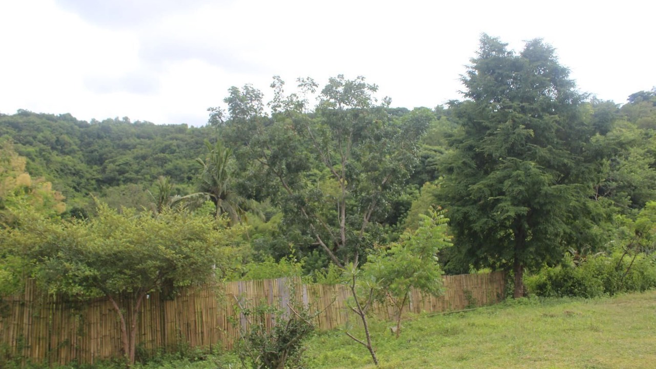 Photo of Outdoor in Kuta