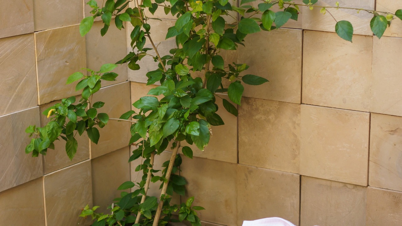 Photo of Bathroom in Suraberata