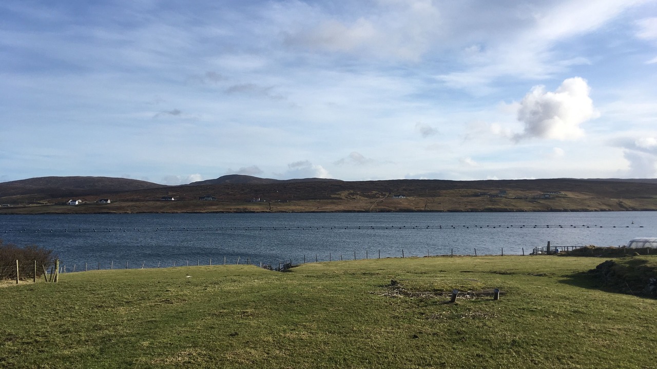 Photo of Others in Aith