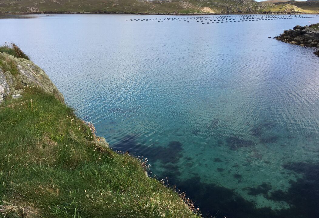 Photo of Others in Aith