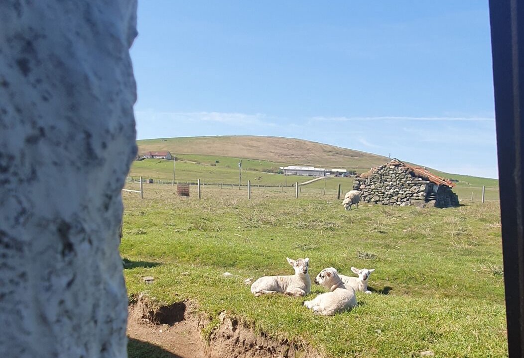 Photo of Outdoor in Aith