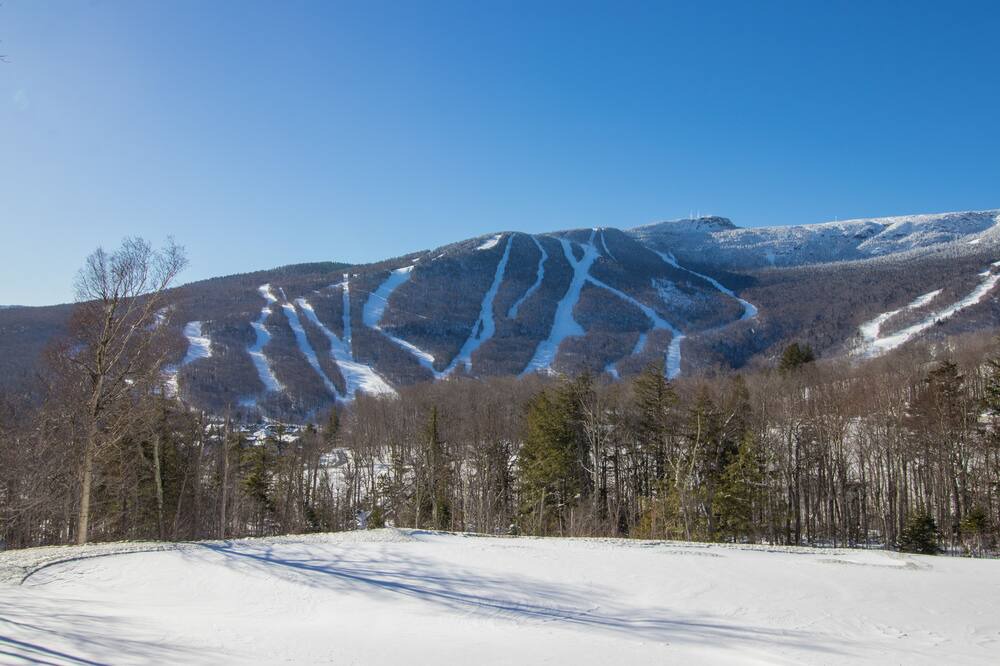 Photo of Others in Stowe Hollow