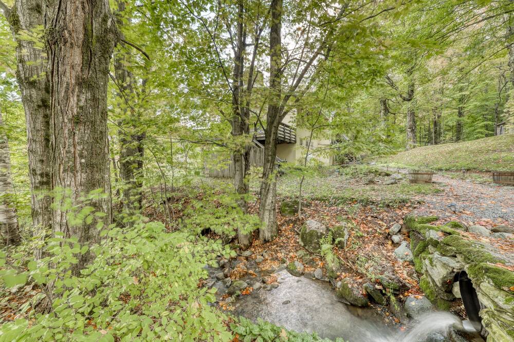 Photo of Others in Stowe Hollow